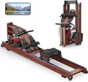 7 Best Rowing Machines for Full-Body Workouts
