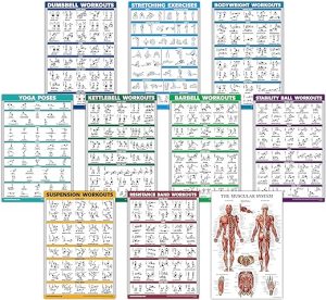 10 Pack - Exercise Workout Poster Set - Dumbbell, Suspension, Kettlebell, Resistance Bands, Stretching, Bodyweight, Barbell, Yoga Poses, Exercise Ball, Muscular System Chart (LAMINATED, 18" x 27")
