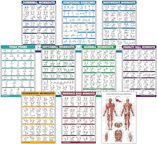 10 Pack - Exercise Workout Poster Set - Dumbbell, Suspension, Kettlebell, Resistance Bands, Stretching, Bodyweight, Barbell, Yoga Poses, Exercise Ball, Muscular System Chart (LAMINATED, 18" x 27")