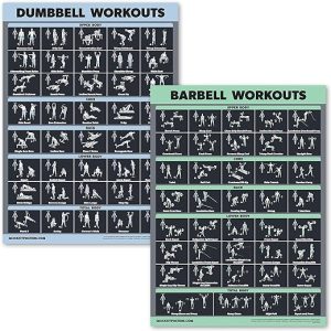 Palace Learning 2 Pack Dumbbell Workouts and Barbell Exercise Poster Set - Laminated 2 Chart Set - Dumbbell Exercise Routine & Barbell Workouts [DARK] (LAMINATED, 18” x 24”)