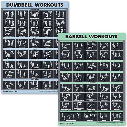 Palace Learning 2 Pack Dumbbell Workouts and Barbell Exercise Poster Set - Laminated 2 Chart Set - Dumbbell Exercise Routine & Barbell Workouts [DARK] (LAMINATED, 18” x 24”)