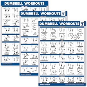 Palace Learning 3 Pack - Dumbbell Workout Posters for Home Gym - Volume 1, 2 & 3 - Exercise Charts