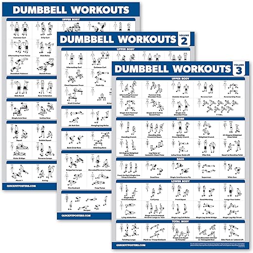 Palace Learning 3 Pack - Dumbbell Workout Posters for Home Gym - Volume 1, 2 & 3 - Exercise Charts