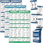 Palace Learning 4 Pack: Dumbbell + Bodyweight + Barbell Workout Poster Set + Dumbbell Exercise Playing Cards