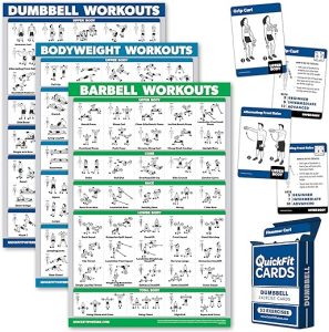 Palace Learning 4 Pack: Dumbbell + Bodyweight + Barbell Workout Poster Set + Dumbbell Exercise Playing Cards