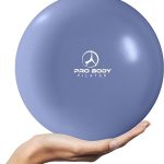 ProBody Pilates Ball Small Yoga Ball, 9 Inch Exercise Ball with Exercise Guide, Fresh Colors Mini Soft Therapy Ball Stability Ball, Excercise Workout Ball, Core Ball for Barre and Balance