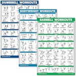 QUICKFIT 3 Pack - Dumbbell Workouts + Bodyweight Exercises + Barbell Routine Poster Set - Set of 3 Workout Charts (Laminated, 18" x 27")