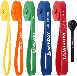 Resistance Bands, Pull Up Bands, Workout Bands for Exercise, Thick Heavy Resistance Band Set with Door Anchor, Elastic Bands for Body Stretching, Crossfit Training at Home/Gym for Men & Women